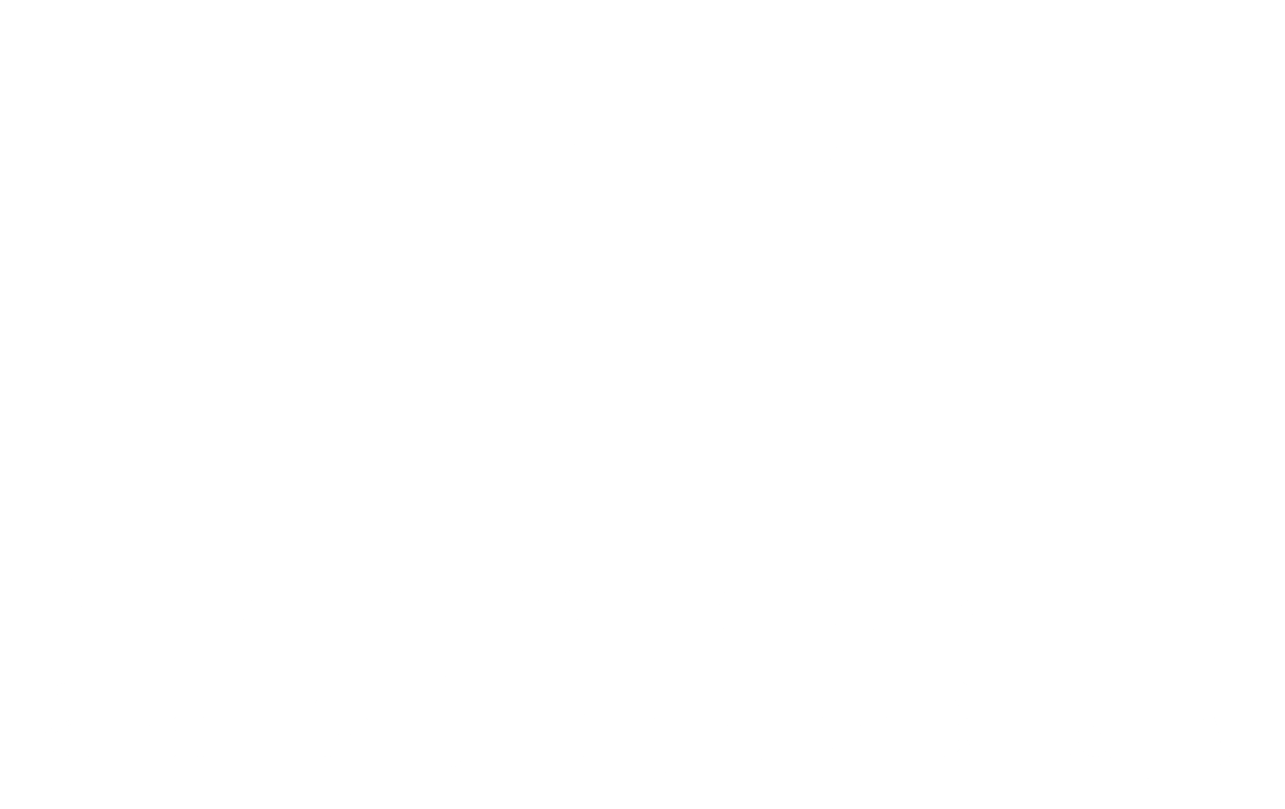 prime logo